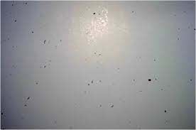 Hướng dẫn sửa máy in bị chấm đen