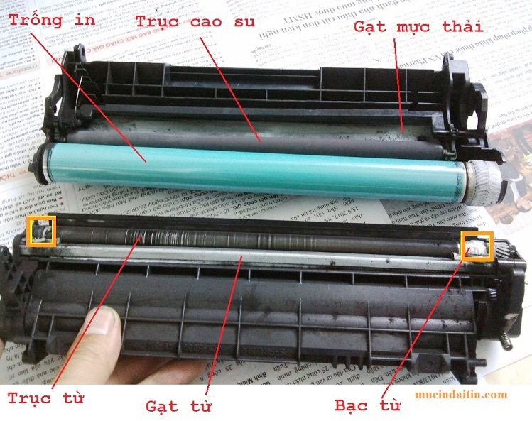 Gạt máy in là gì ?